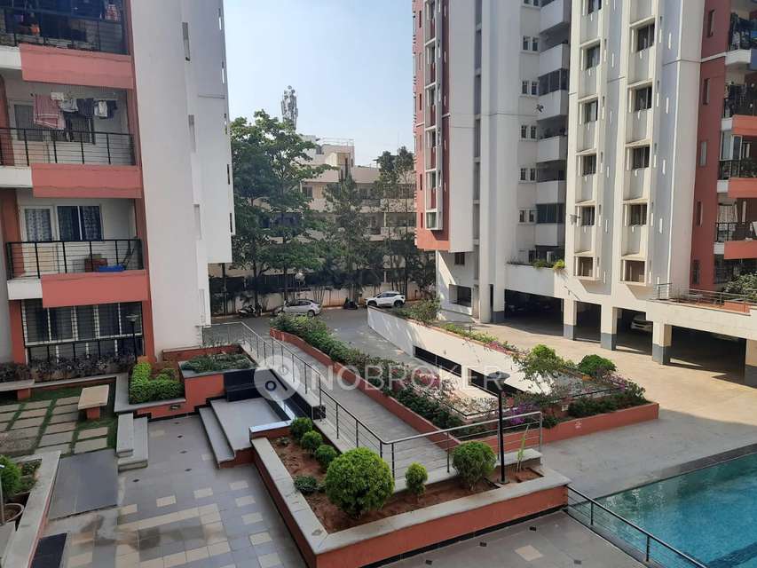 2 BHK Flat In Dsr Spring Beauty for Rent  In Brookefield