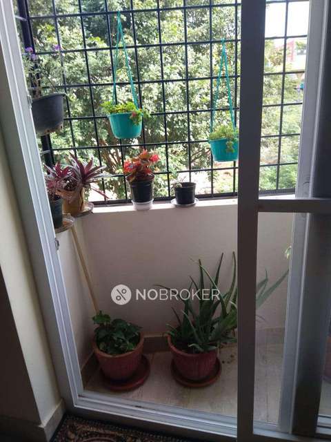 4+ BHK House For Sale  In Jakkur