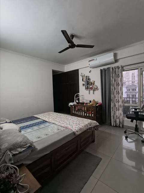 3 BHK Flat In Panchsheel Greens 1 for Rent  In Site C Rd, Block K