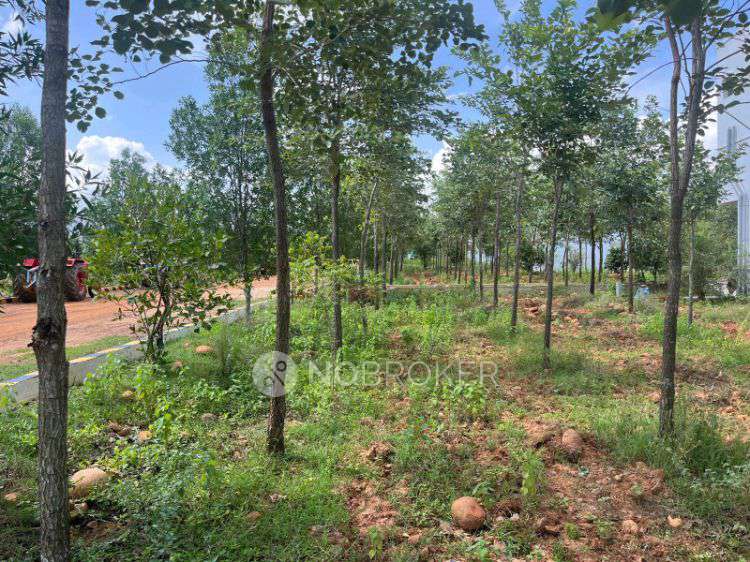 Plot For Sale  In Shivasakthifarms In Red Hills