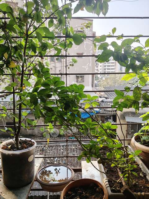 1 BHK Flat In Pratima Chs For Sale  In Andheri East