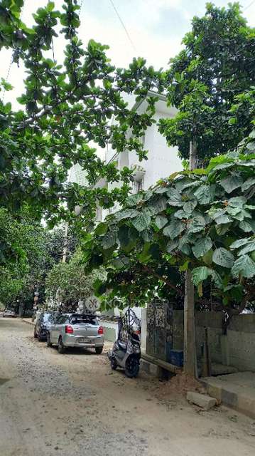2 BHK Flat In Sreevari Heritage for Rent  In Sreevari Heritage