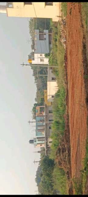 Plot For Sale  In Kakolu Village