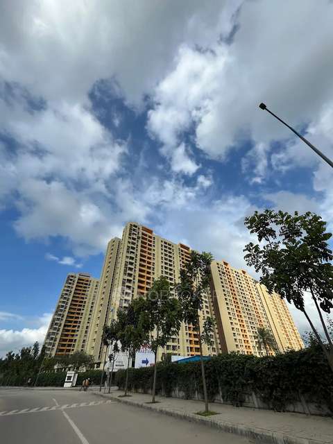 2 BHK Flat In Falcon Tower At Riverview City for Rent  In Loni Kalbhor