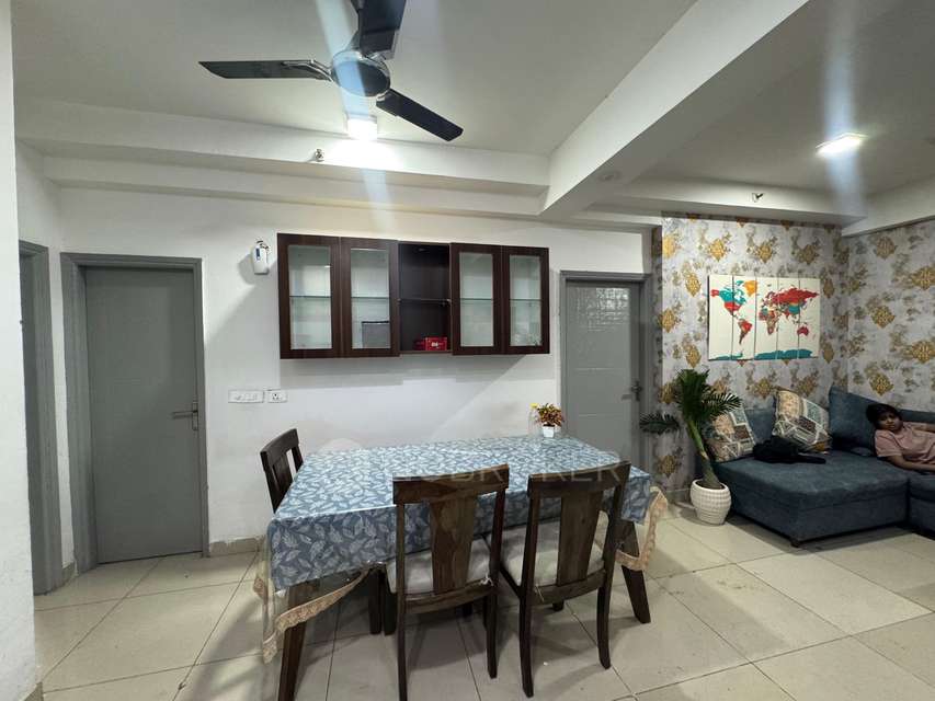 Single Room for Female In 3 BHK  In Ajnara Le Garden In Panchsheel Greens 2