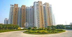 3 BHK Flat In Spr Elysia for Rent  In Sector 82
