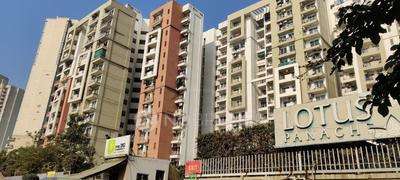 3 BHK Flat In 3c Lotus Panache For Sale  In Sector 110