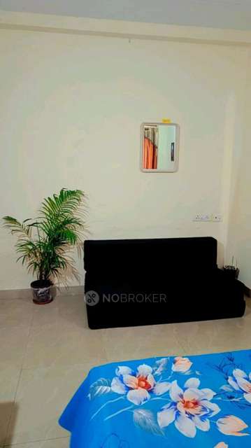 PG for Anyone in ?????