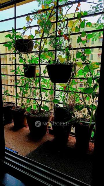 PG for Anyone in ?????