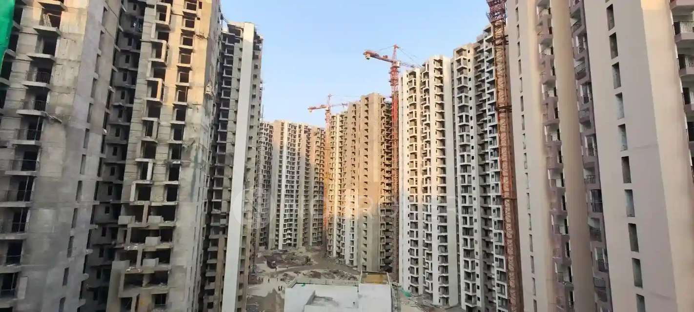 Single Room for Male In 3 BHK  In Apartment  In Amrapali Dream Valley