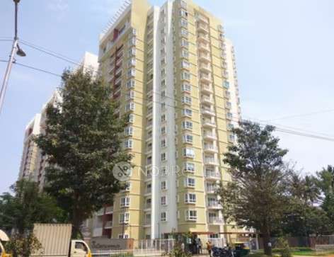 3 BHK Flat In S R N R Daffodil  for Rent  In Yelahanka