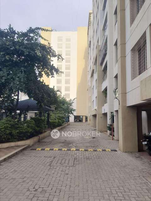 2 BHK Flat In Blue Skky Olive for Rent  In Wagholi