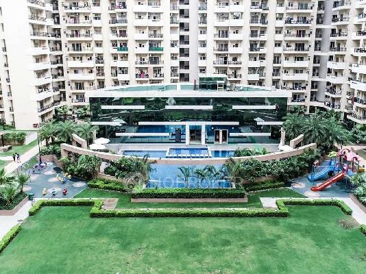 4+ BHK Flat In Exotica Fresco For Sale In Sector 137