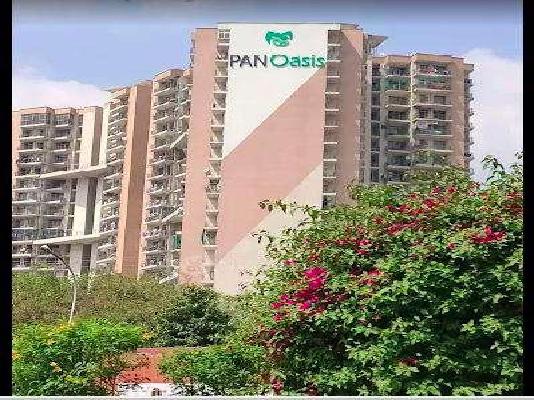 3 BHK Flat In Amrapali Pan Oasis For Sale  In Sector 70