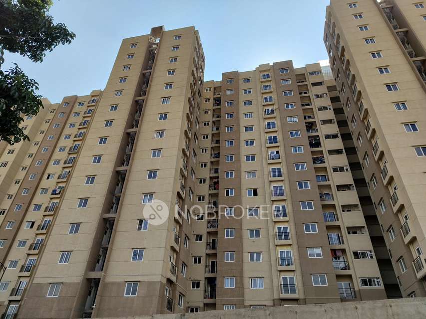 3 BHK Flat In Shriram Whytfield, Budigere Cross for Rent  In Shriram Wyt Field