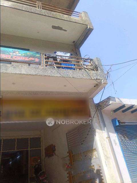 PG for Anyone in  Sector 51