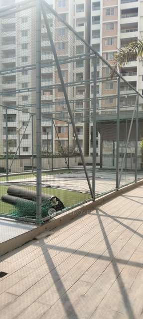 3 BHK Flat In Rgs Forte for Rent  In Wakad