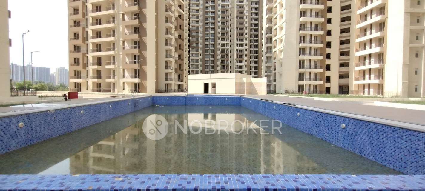 3 BHK Flat In Amrapali Golf Homes For Sale  In Greater Noida
