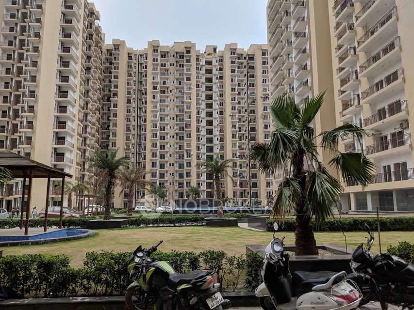 2 BHK Flat In Aims Golf Avenue 2 for Rent  In Sector 75