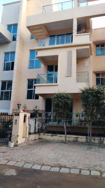 3 BHK Flat In Ansal Api Esencia for Rent  In Sector 67