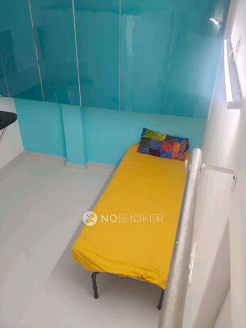 PG for Anyone in Savitri Nagar