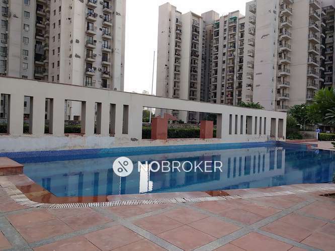 3 BHK Flat In Summer Palms for Rent  In Sector 86
