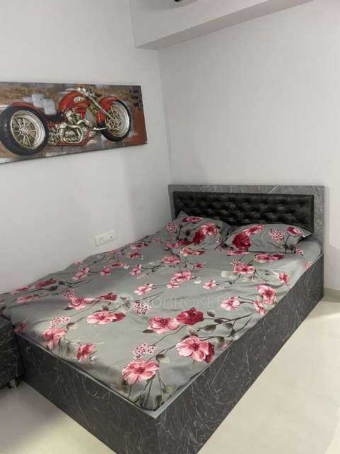 2 BHK Flat In Casa Florea for Rent  In Casa Florea C Wing