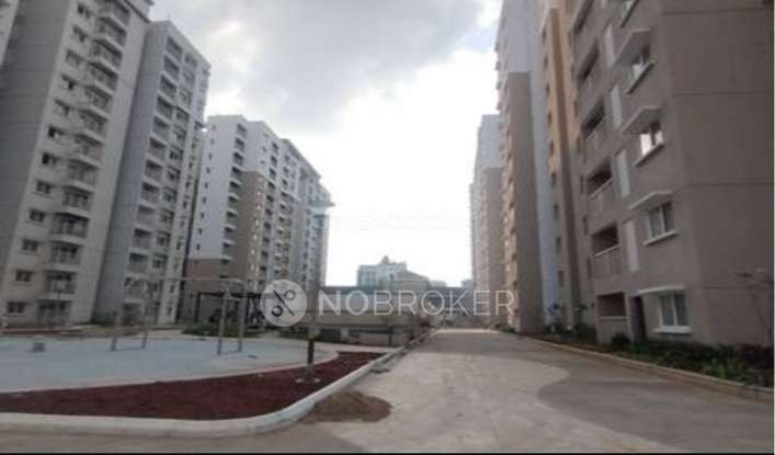 2 BHK Flat In Prestige Green Gables for Rent  In Panathur