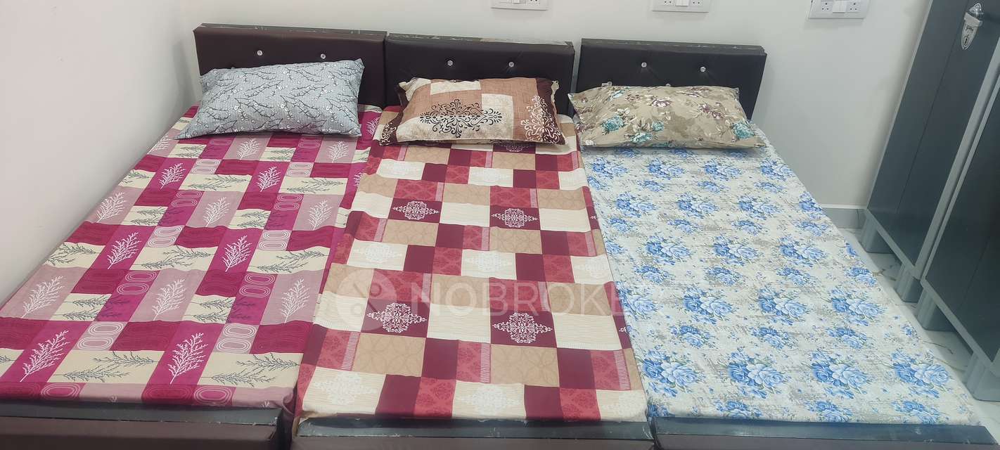 PG for Anyone in Hafeezpet