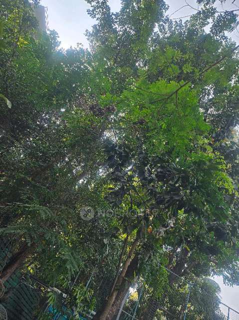 2 BHK Flat In Godrej Spledour For Sale  In Whitefield