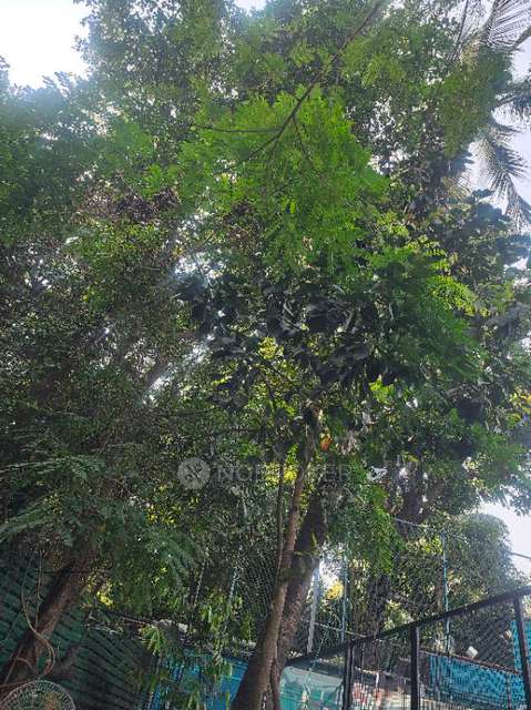 2 BHK Flat In Godrej Spledour For Sale  In Whitefield