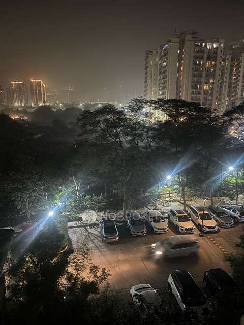 Single Room for Male In 2 BHK  In Amrapali Princely Estate In Sector 76