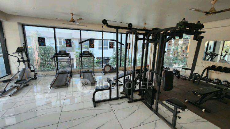 2 BHK Flat In Krisala 41 Estera for Rent  In  Punawale