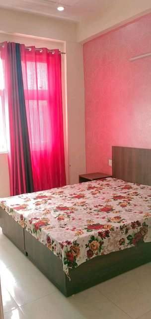 PG for Girls in Sector 14