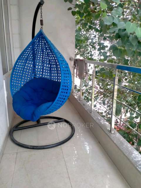 PG for Girls in Sector 14