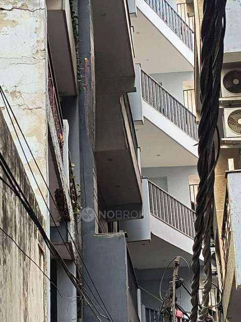 PG for Anyone in Sector 126