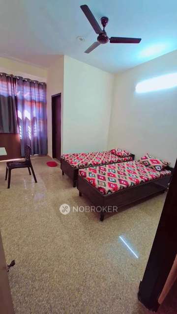 PG for Anyone in  Sector 30