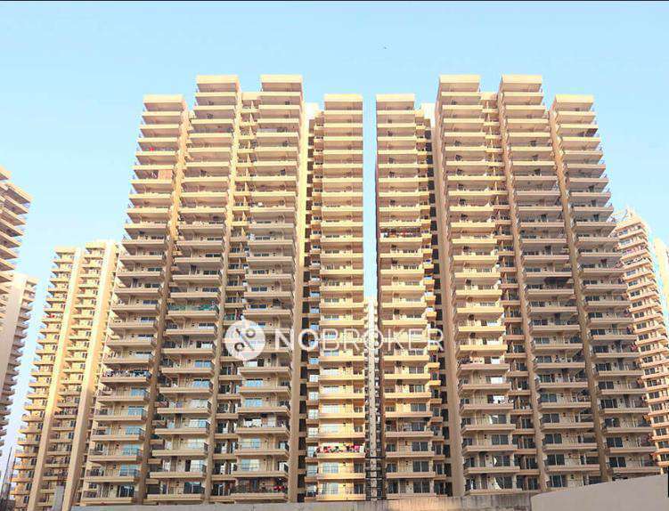 2 BHK Flat In Oasis Grandstand for Rent  In Yamuna Expy Starting