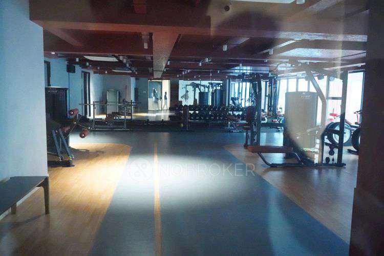 3 BHK Flat In Hariharas Sri Sai Viradhya For Sale  In Chennareddy Enclave Rd