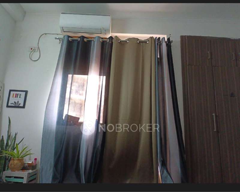 3 BHK Flat In Amrapali Pan Oasis for Rent  In Sector 70
