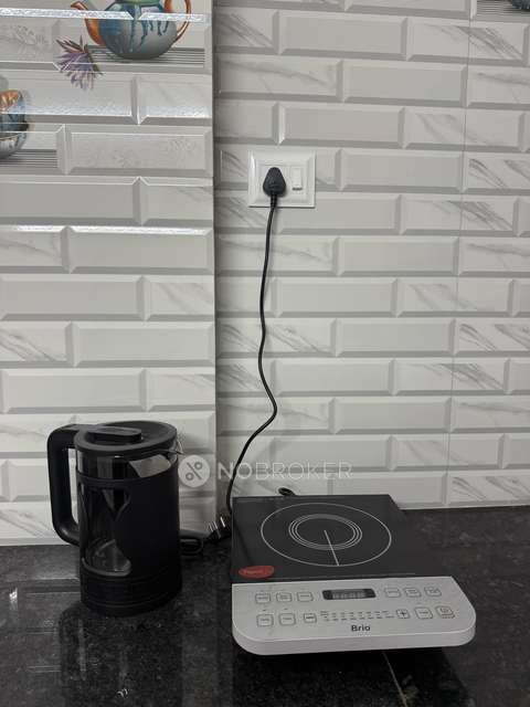 1 BHK Flat In Utkal Estonia  for Rent  In Utkal Estonia