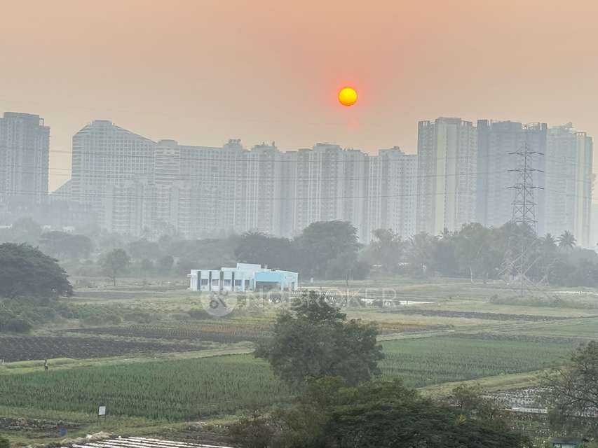 1 BHK Flat In Utkal Estonia  for Rent  In Utkal Estonia