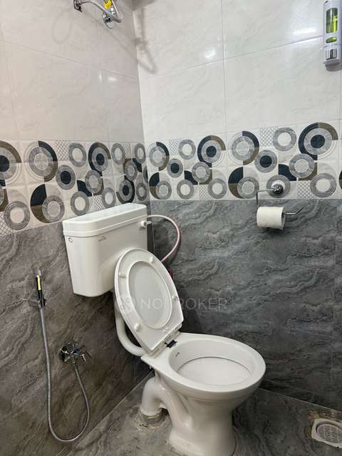 1 BHK Flat In Utkal Estonia  for Rent  In Utkal Estonia