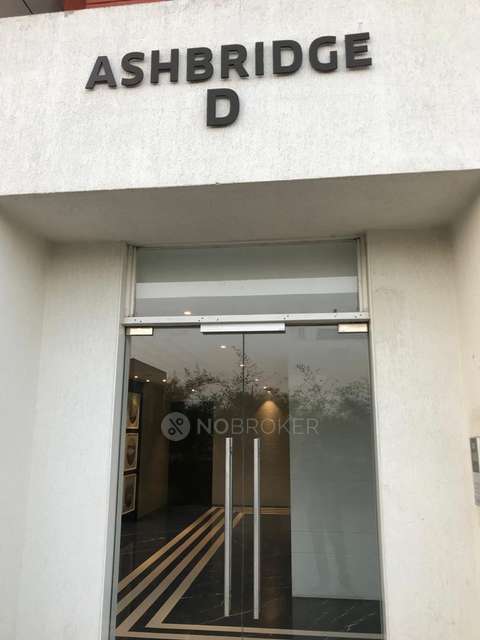 1 BHK Flat In Lodha Belmondo for Rent In Gahunje