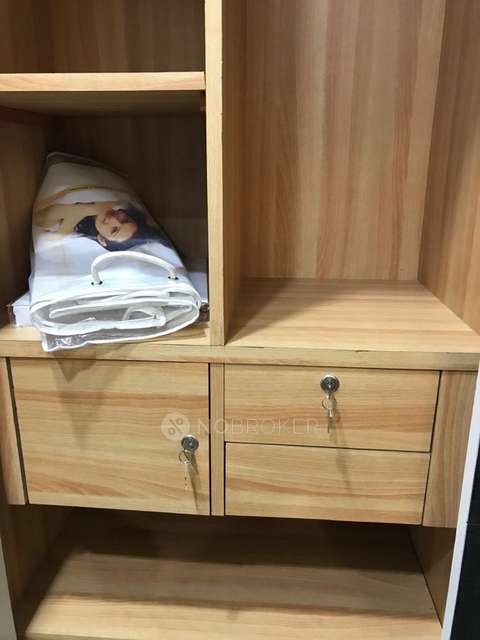 1 BHK Flat In Lodha Belmondo for Rent In Gahunje