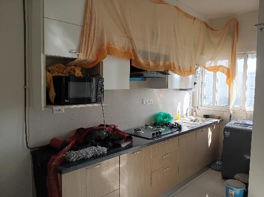 1 BHK Flat In Assetz Here And Now  Studio Room for Rent  In  Rachenahalli