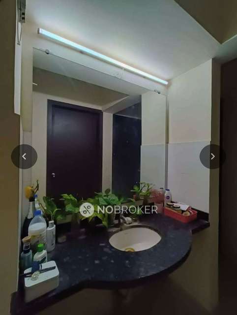 Single Room for Female In 3 BHK  In Mantra Insignia In Mundhwa