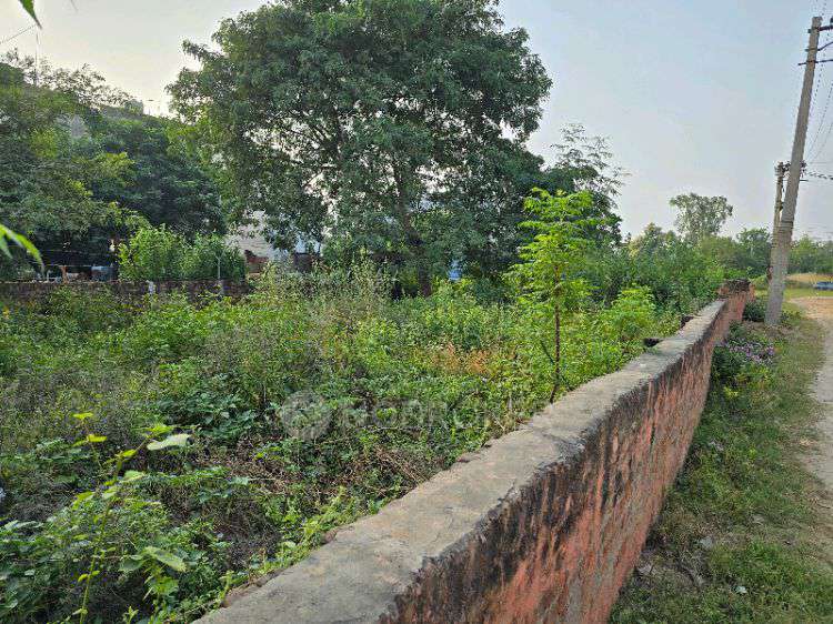 Industrial Shed in New Palam Vihar, Near Royal Oak International School, Block N, New Palam Vihar Phase 1, Sector 110, Gurugram, Haryana 122017, India, Gurgaon for Rent 