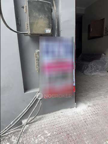 PG for Anyone in  Sector 48