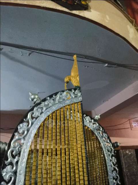 1 RK House for Rent  In Ram Nagar